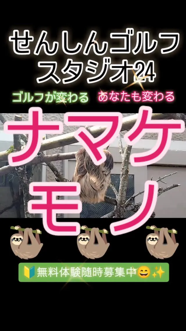 🦥ナマケモノ🦥