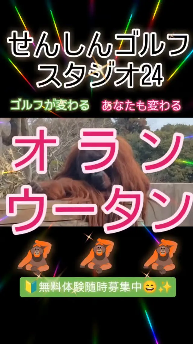 オランウータン🦧  ワッショイ♫